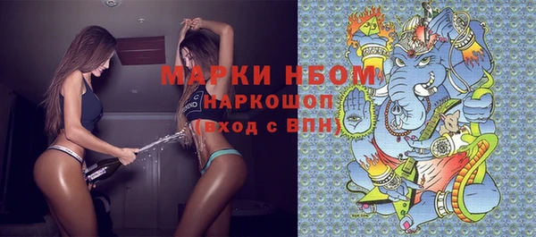 индика Алзамай