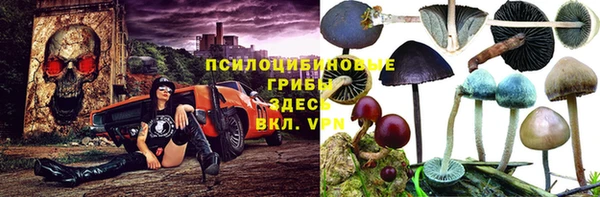 ECSTASY Алексин