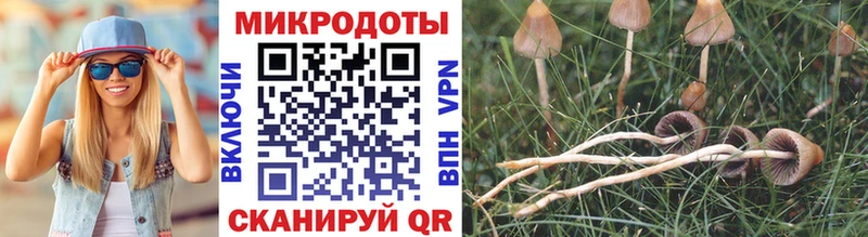 Галлюциногенные грибы Magic Shrooms где найти наркотики Лихославль